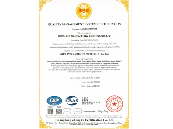 система ISO9001 (на английском языке)