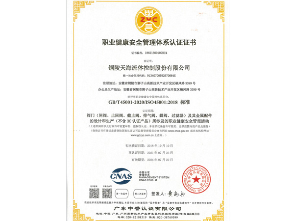 сертификация системы GB / T45001 (средняя)
